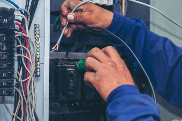 Best Licensed Electrician  in Roseto, PA